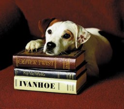 Wishbone the dog relaxing on a stack of classic Western novels. 